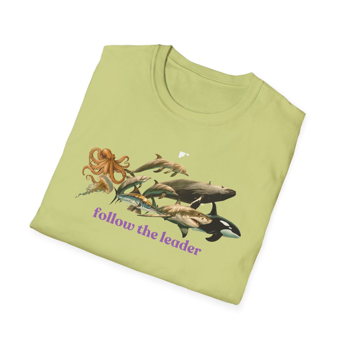 Follow The Leader Unisex Softstyle T-Shirt