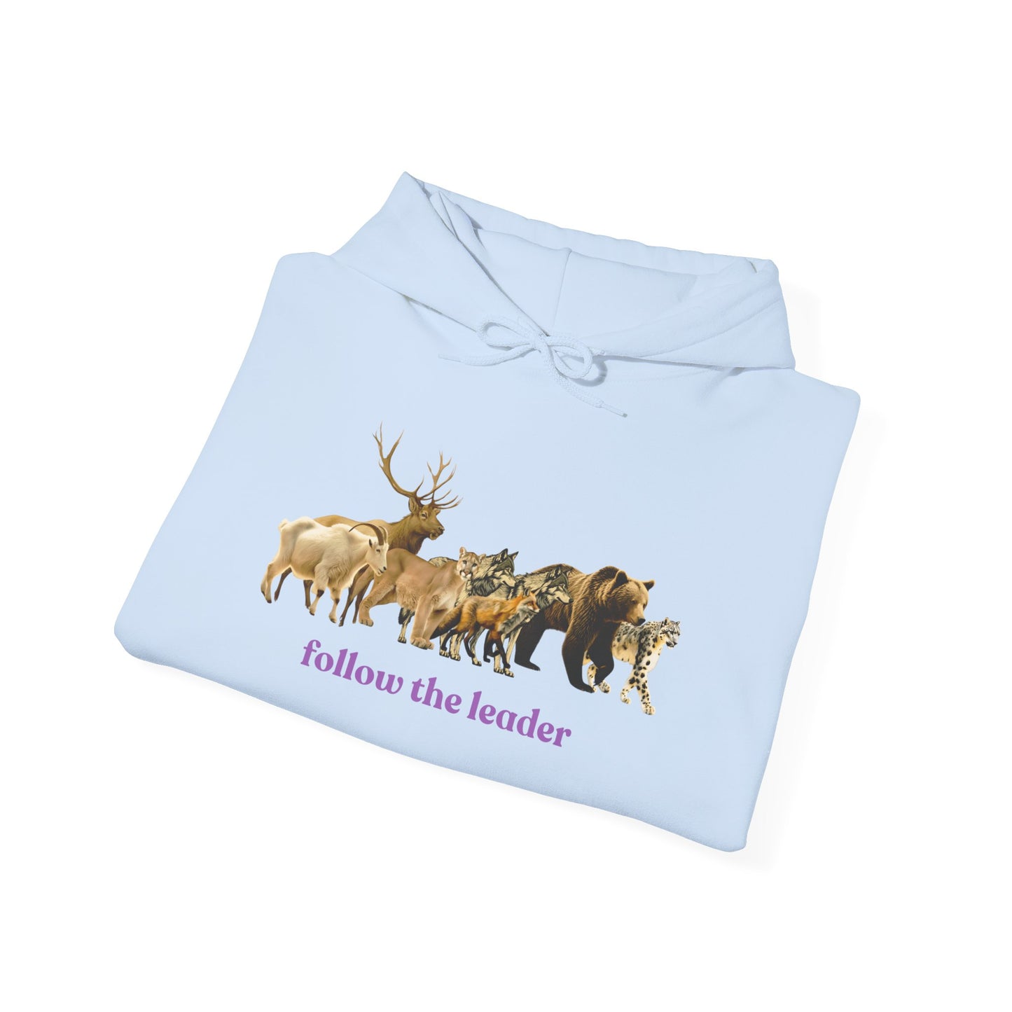 Follow The Leader Unisex Heavy Blend  Hooded Sweatshirt