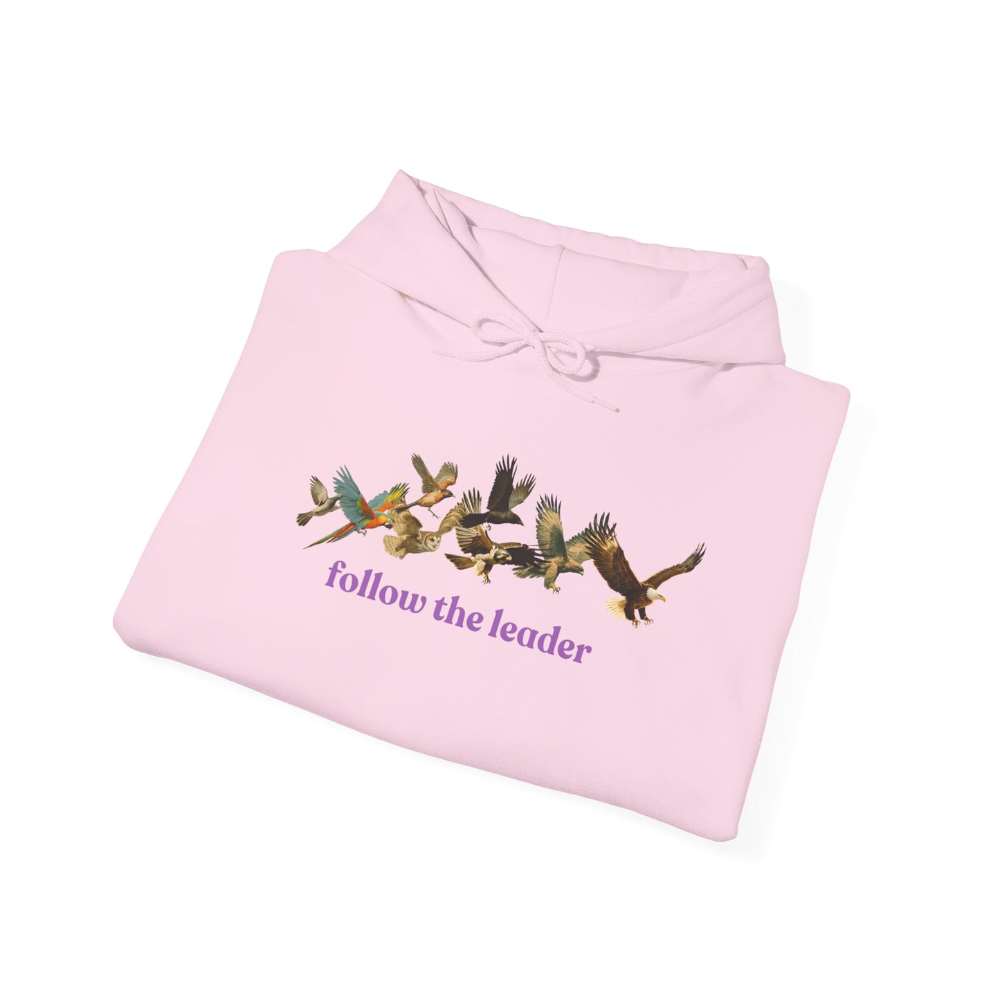 Follow The Leader Unisex Heavy Blend™ Hooded Sweatshirt