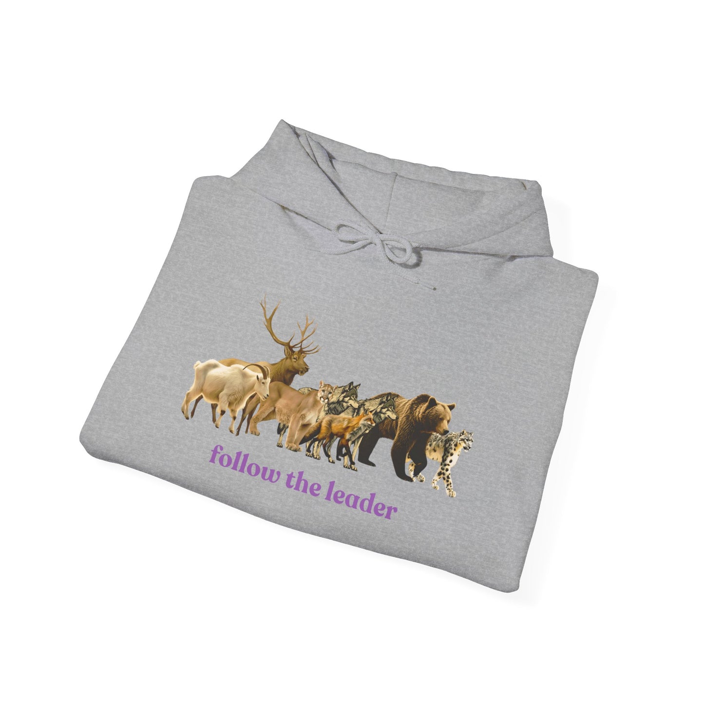 Follow The Leader Unisex Heavy Blend  Hooded Sweatshirt