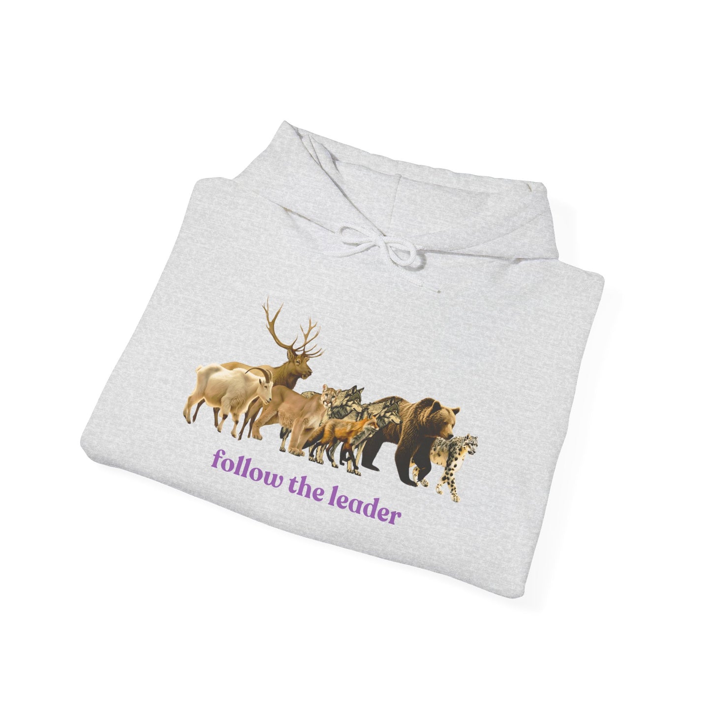 Follow The Leader Unisex Heavy Blend  Hooded Sweatshirt