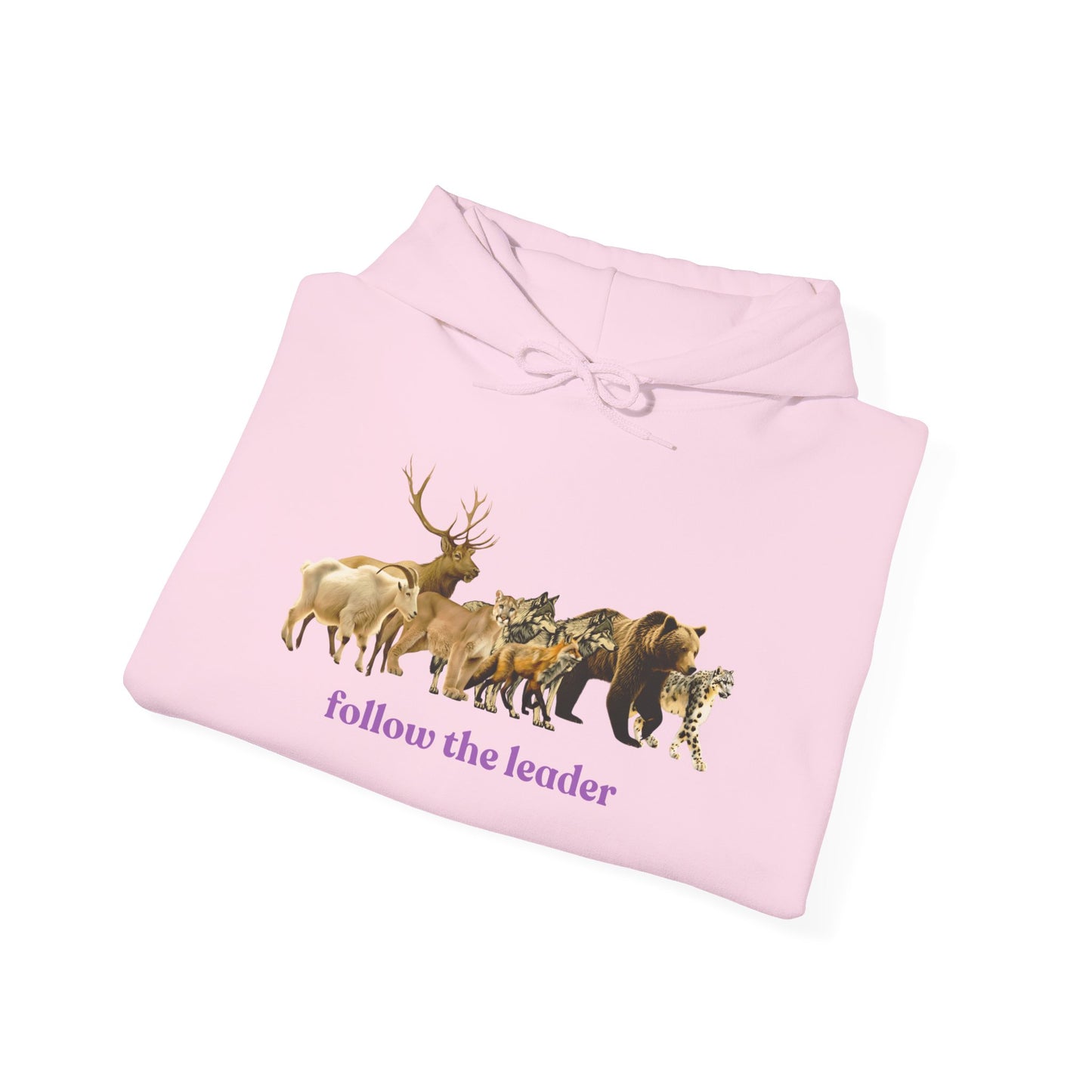 Follow The Leader Unisex Heavy Blend  Hooded Sweatshirt